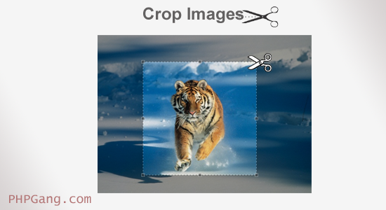 crop-images
