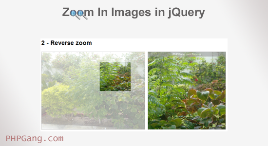 zoom-in-images-in-jquery