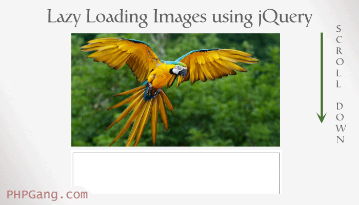 lazy loading images using jQuery