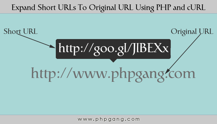 How to Expand Short URLs To Original URL Using PHP and cURL