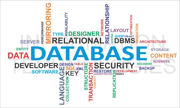 The Fundamentals of Database