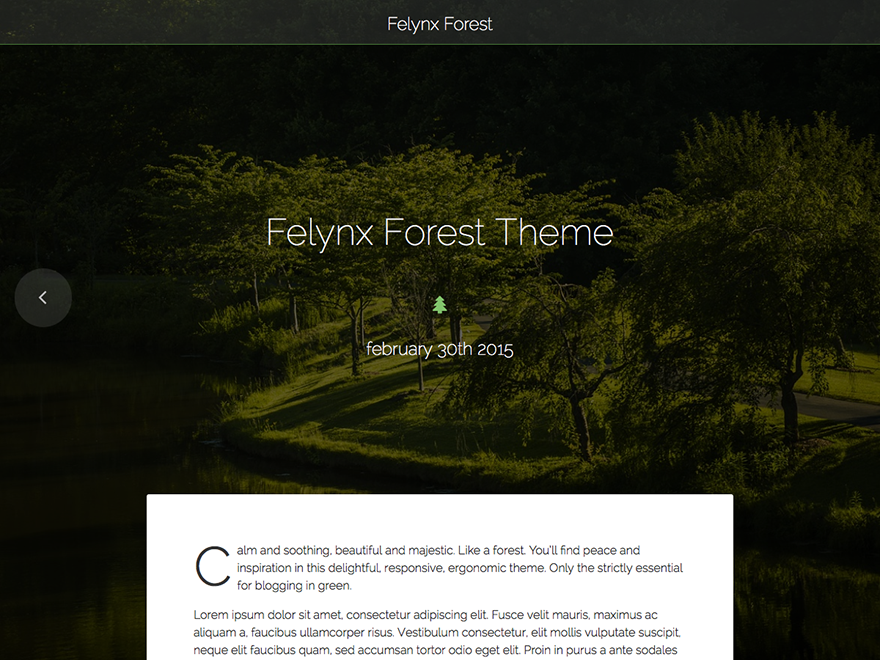 felynx-forest